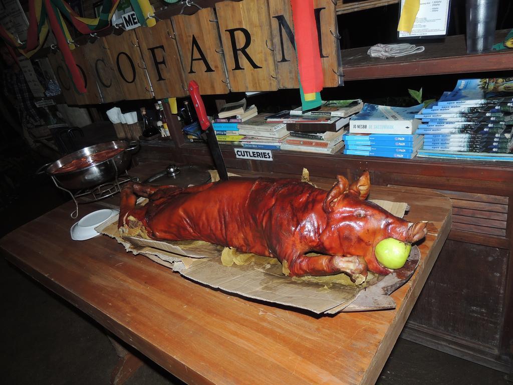 Bohol Coco Farm Hostel Panglao Εξωτερικό φωτογραφία