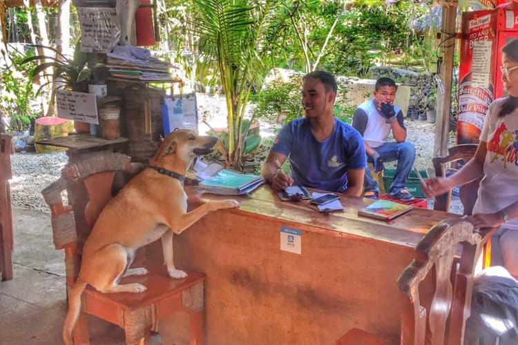 Bohol Coco Farm Hostel Panglao Εξωτερικό φωτογραφία